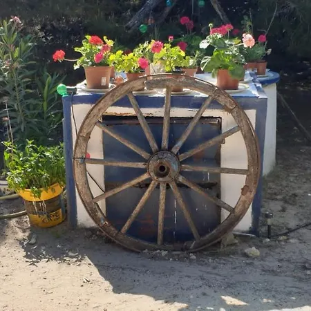 Dunas: Beachfront With Jacuzzis Holiday home