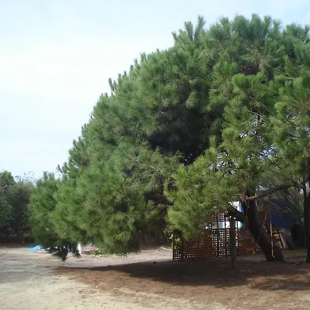 Vakantiehuis En Dunas Dos Con Jacuzzis En Primera Linea De Playa , Uno De 4 Y Otro De 2 Dormitorios, Llama Al Seiscientos Veintisiete Cuatrocientos Diecisiete Trescientos Noventa Y Ocho *