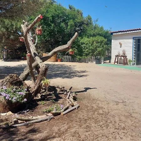 En Dunas Dos Con Jacuzzis En Primera Linea De Playa , Uno De 4 Y Otro De 2 Dormitorios, Llama Al Seiscientos Veintisiete Cuatrocientos Diecisiete Trescientos Noventa Y Ocho Rota