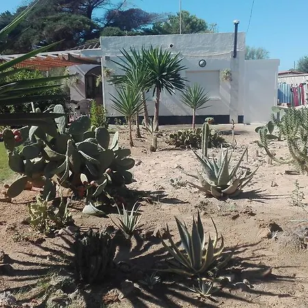 En Dunas Dos Con Jacuzzis En Primera Linea De Playa , Uno De 4 Y Otro De 2 Dormitorios, Llama Al Seiscientos Veintisiete Cuatrocientos Diecisiete Trescientos Noventa Y Ocho *