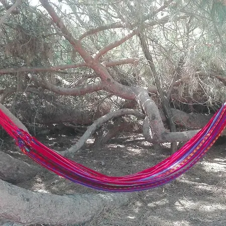 Vakantiehuis En Dunas Dos Con Jacuzzis En Primera Linea De Playa , Uno De 4 Y Otro De 2 Dormitorios, Llama Al Seiscientos Veintisiete Cuatrocientos Diecisiete Trescientos Noventa Y Ocho *